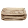 Assiette plate carrée (taille M) compostable en feuilles de palmier (x100) FIESTA GREEN Assiette plate carrée (taille M) compostable en feuilles de palmier (x100) FIESTA GREEN