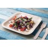 Assiette plate carrée (taille M) compostable en feuilles de palmier (x100) FIESTA GREEN Assiette plate carrée (taille M) compostable en feuilles de palmier (x100) FIESTA GREEN