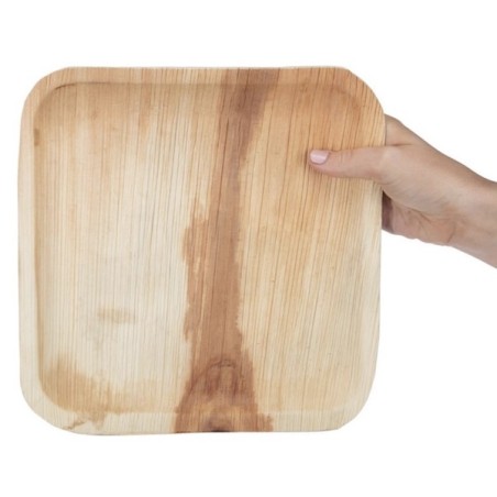 Assiette plate carrée (taille L) compostable en feuilles de palmier (x100) FIESTA GREEN