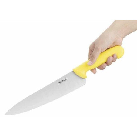 Couteau de cuisine 251 mm HYGIPLAS