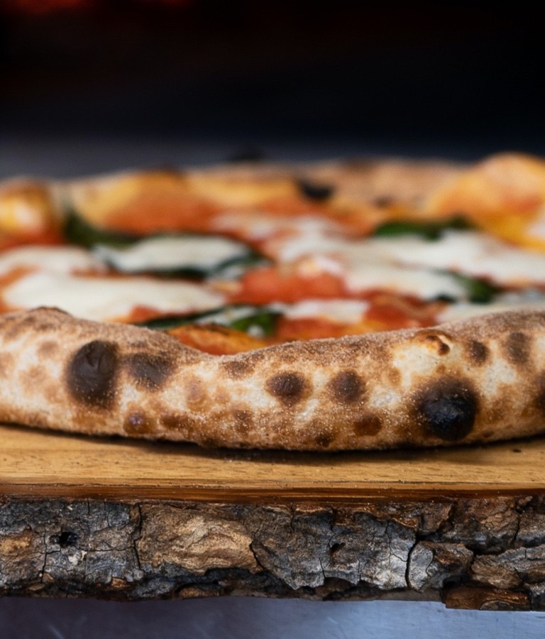 Four à pizza bois